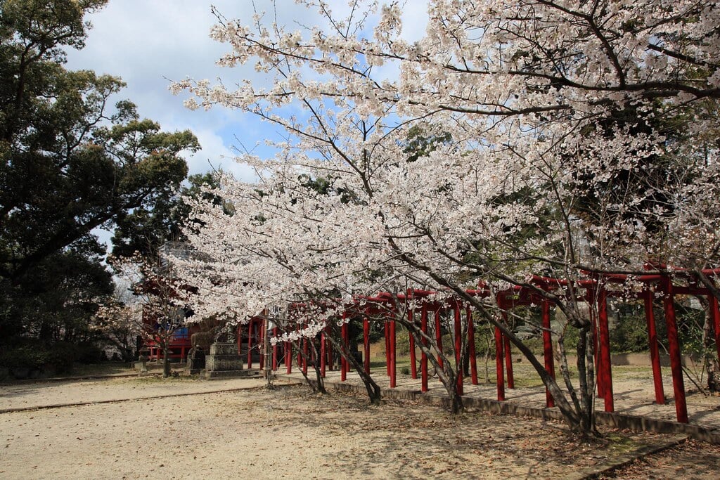 小城公園の写真 ©gtknj(CC BY 2.0)
