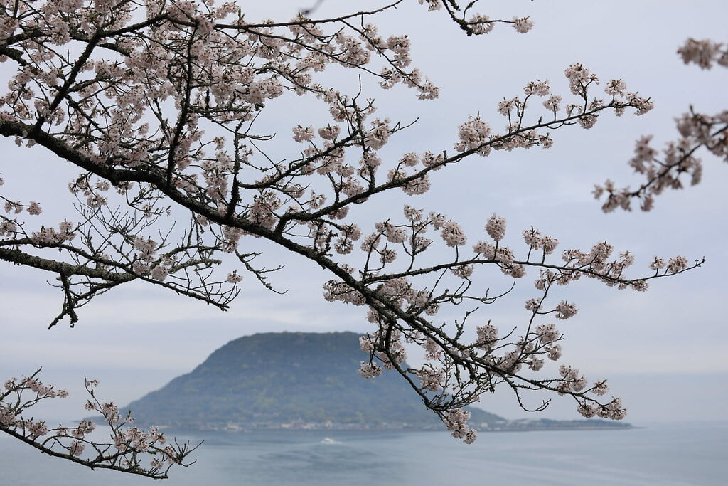 唐津城の写真 ©gtknj(CC BY 2.0)