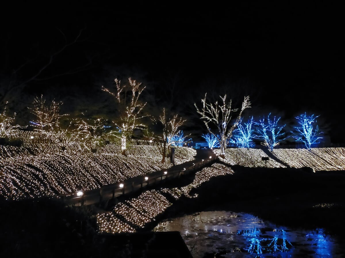 ネスタリゾート神戸の写真 