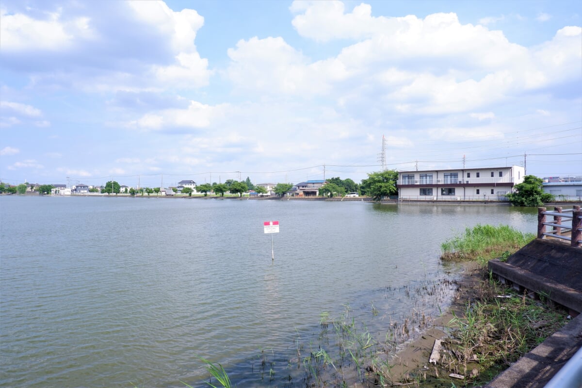 伊佐沼公園の写真 