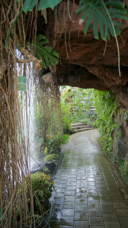 夢の島熱帯植物館の写真 ©i-saint(CC BY 2.0)