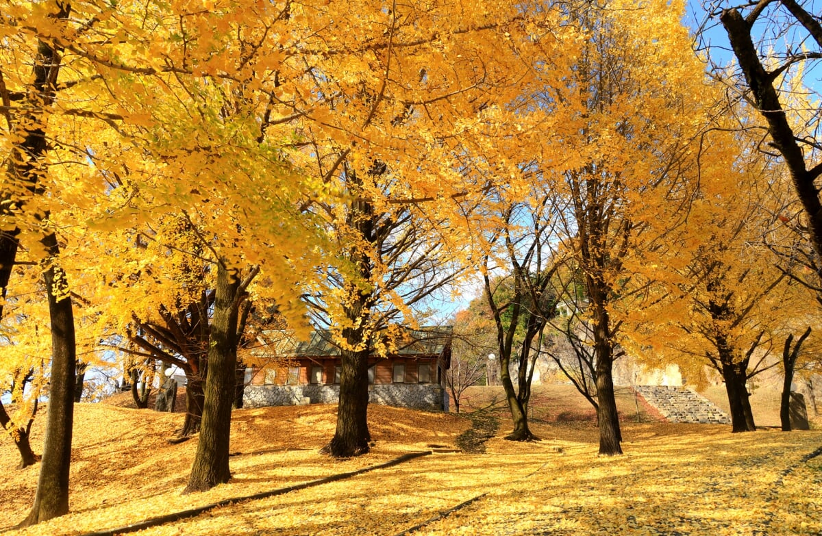 嘉多山公園の写真 