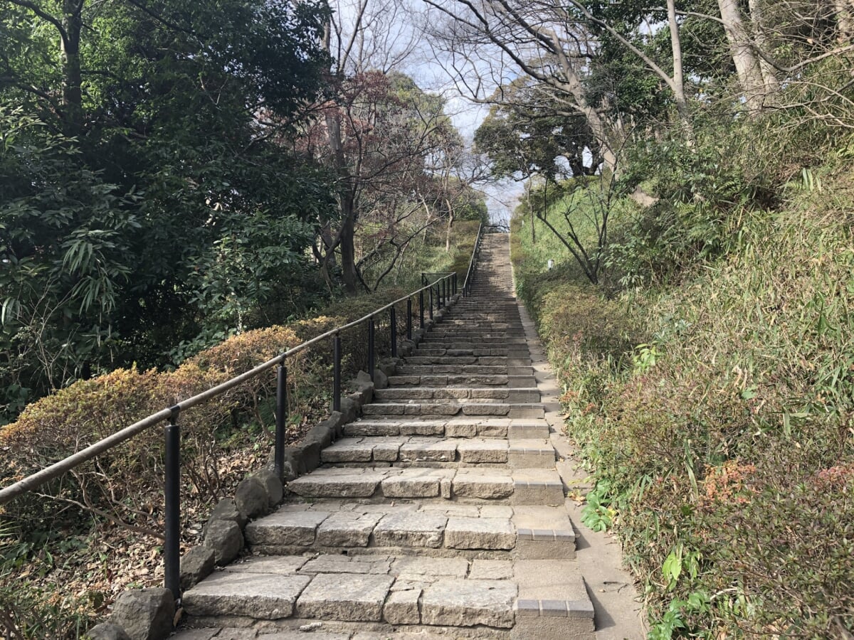 田園調布せせらぎ公園の写真 