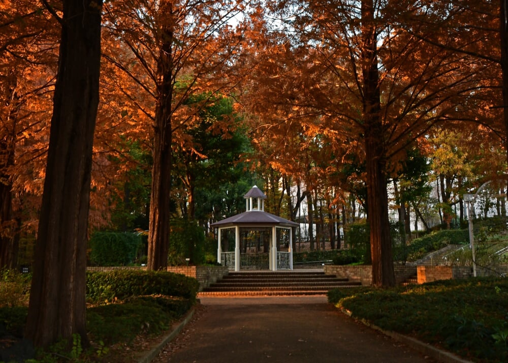 相模原北公園の写真 