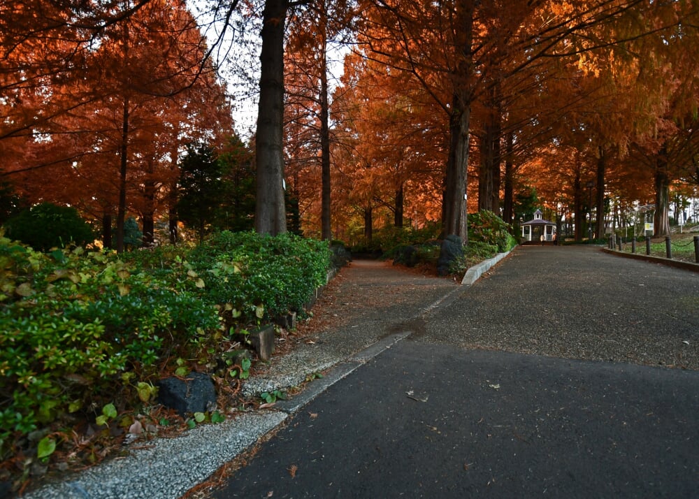 相模原北公園の写真 