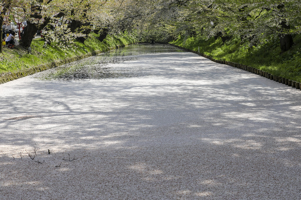 弘前公園の写真 ©bryan...(CC BY-SA 2.0)
