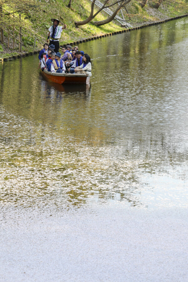 弘前公園の写真 ©bryan...(CC BY-SA 2.0)