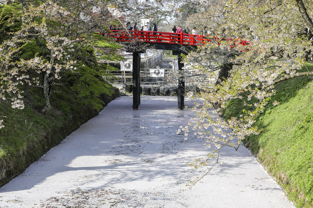 弘前公園の写真 ©bryan...(CC BY-SA 2.0)