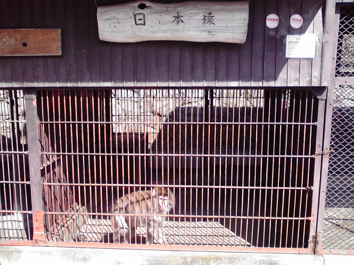亀城公園の写真 ©土浦大学(Public domain)