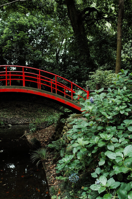 川越大師 喜多院の写真 ©t-miki(CC BY-ND 2.0)