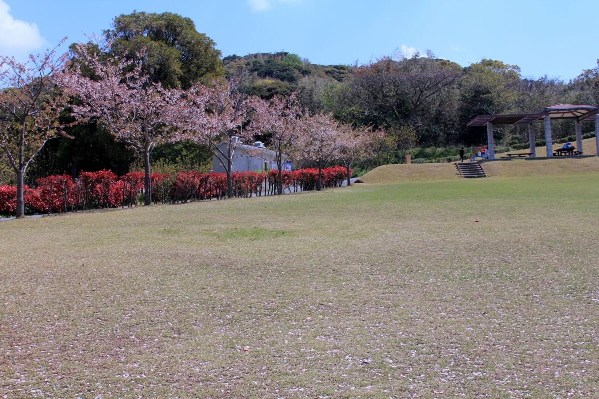 あんずの里運動公園の写真 