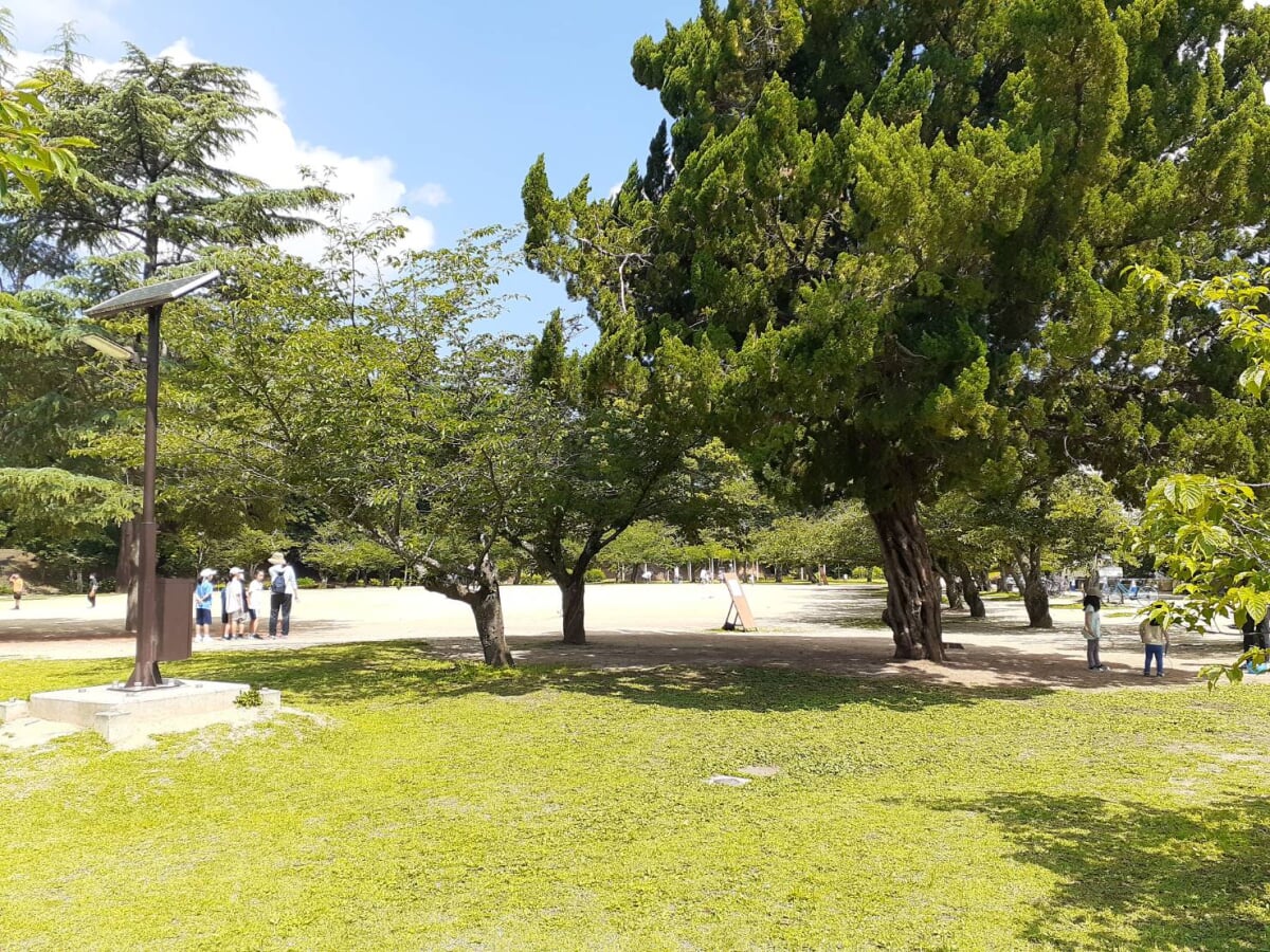 道後公園の写真 