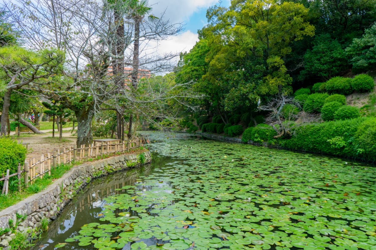 道後公園の写真 