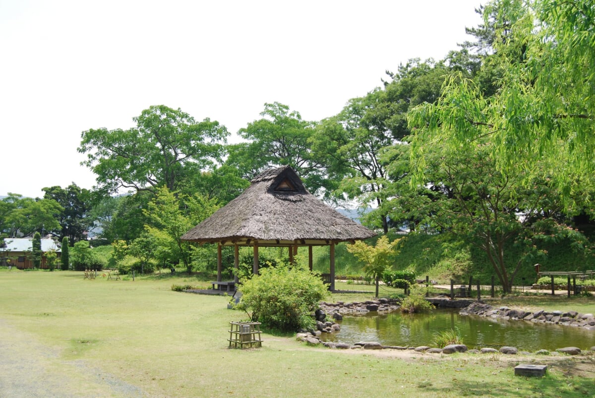 道後公園の写真 