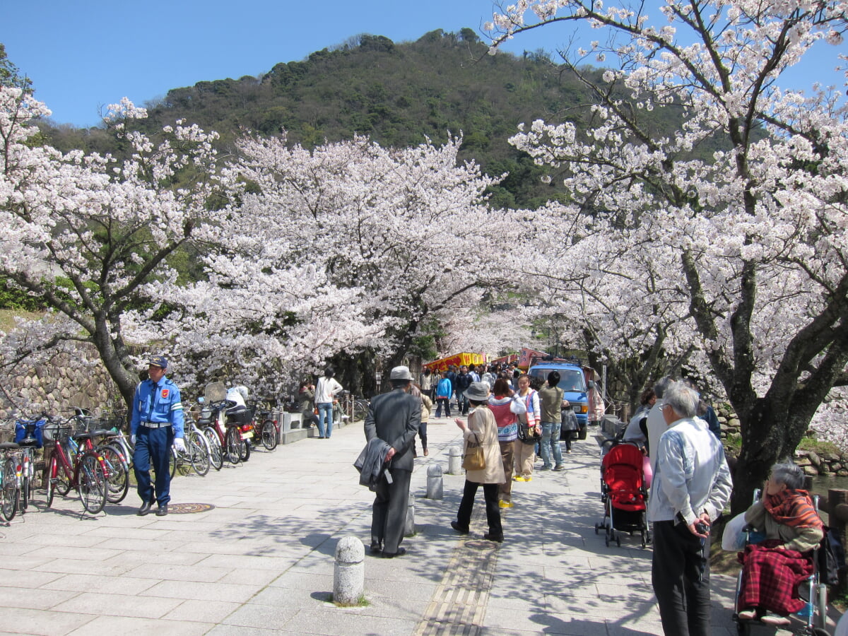久松公園の写真 ©ShinoKo(CC BY-SA 3.0)