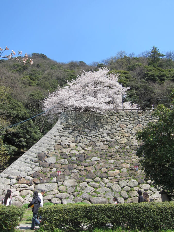 久松公園の写真 ©ShinoKo(CC BY-SA 3.0)