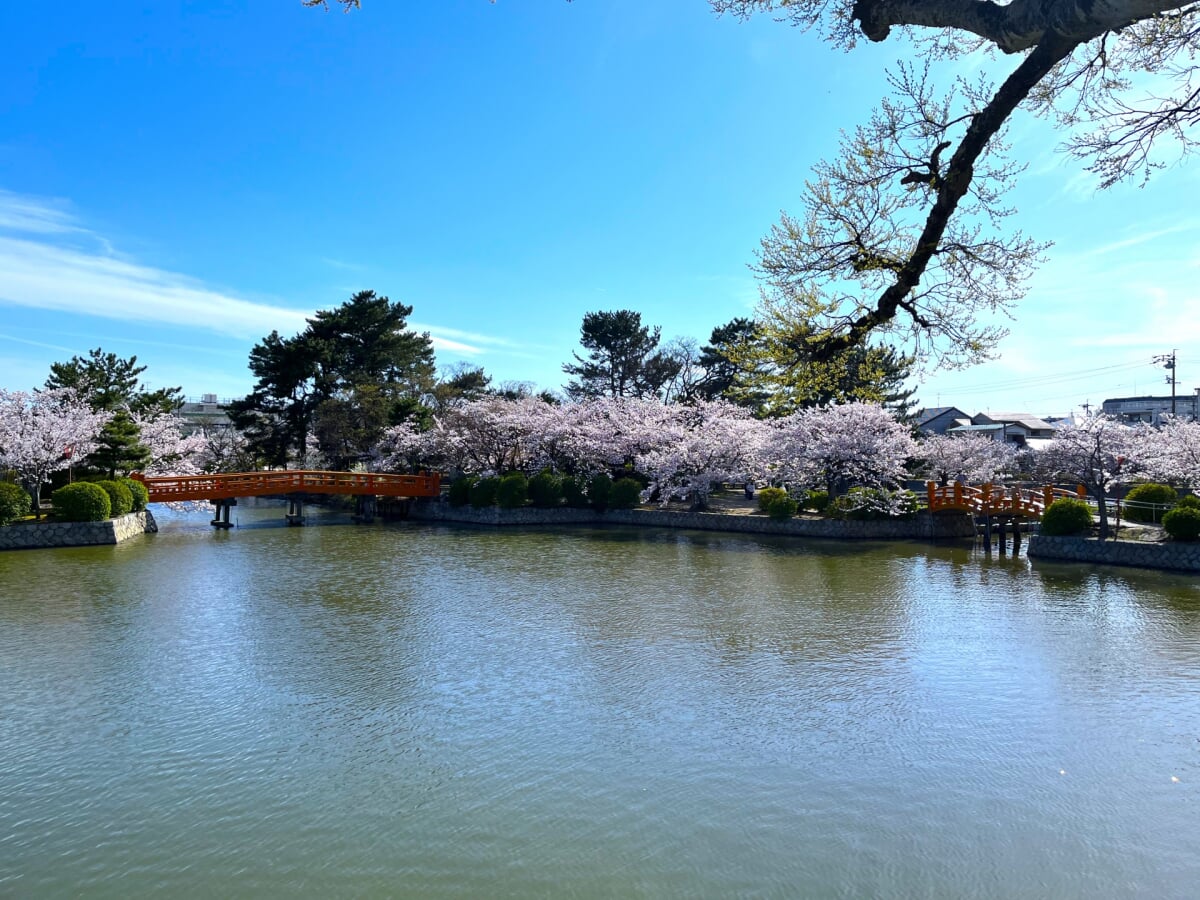 九華公園(桑名城跡)の写真 