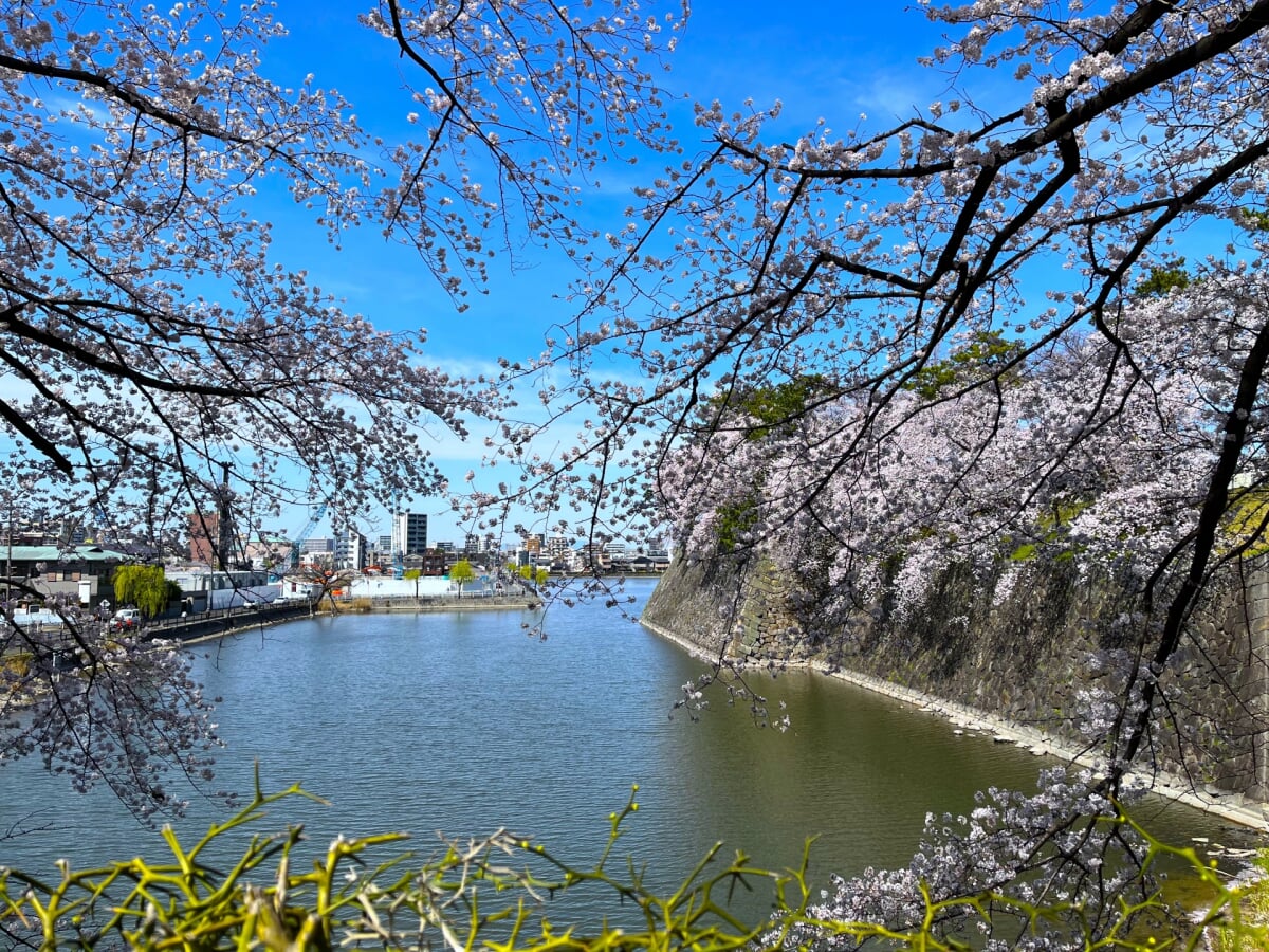 九華公園(桑名城跡)の写真 