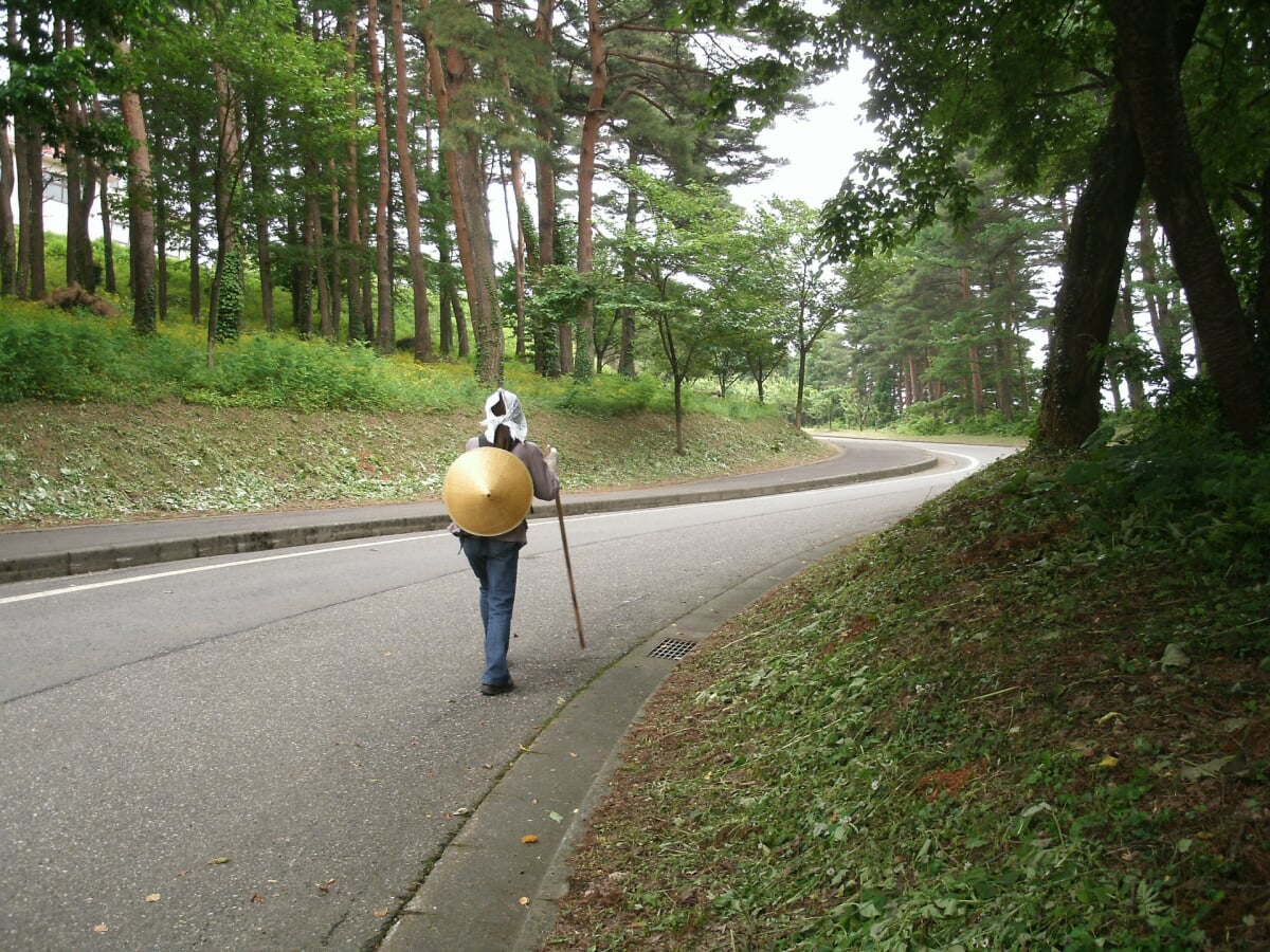 美山公園の写真 