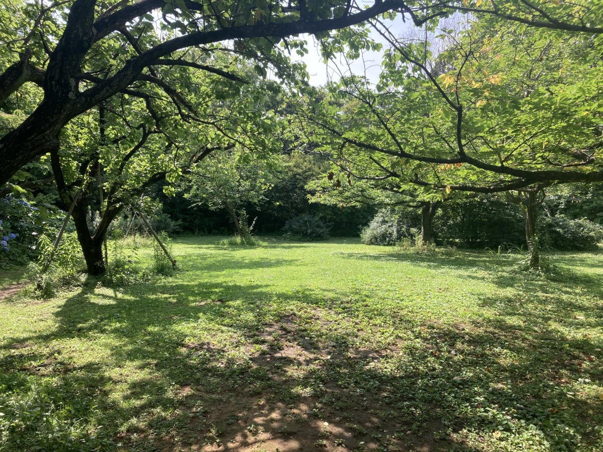 本牧山頂公園の写真 