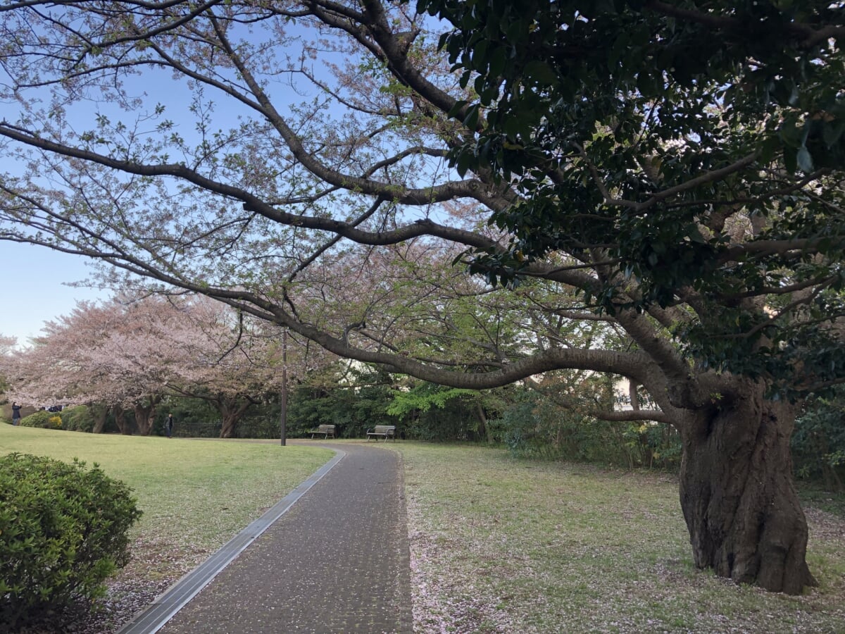 本牧山頂公園の写真 
