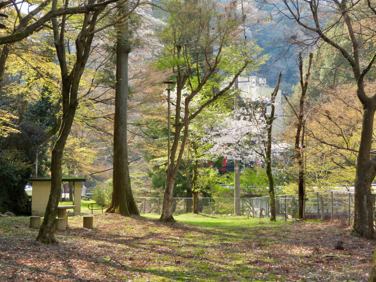虎渓公園の写真 ©KKPCW(CC BY-SA 4.0)