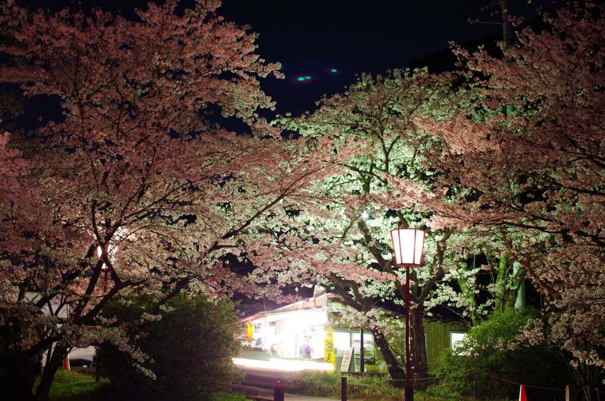 武丈公園の写真 