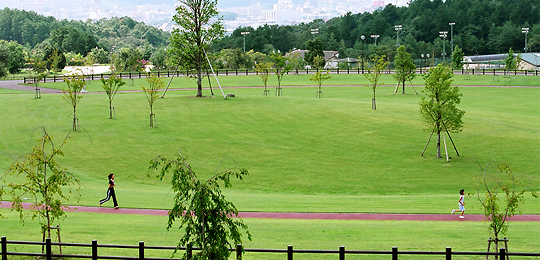 三段池公園の写真 出典:公益財団法人　福知山市都市緑化協会