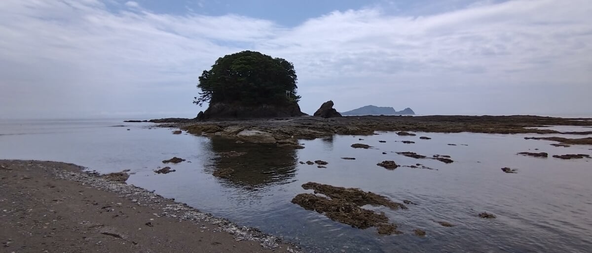 モラスコむぎ 貝の資料館・漁師さんの水族館の写真 ©Dokudami(CC BY-SA 4.0)