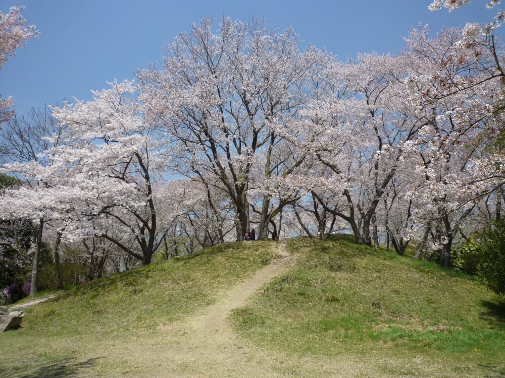 半田山植物園の写真 ©Fjkelfeimvvn(CC BY-SA 3.0)