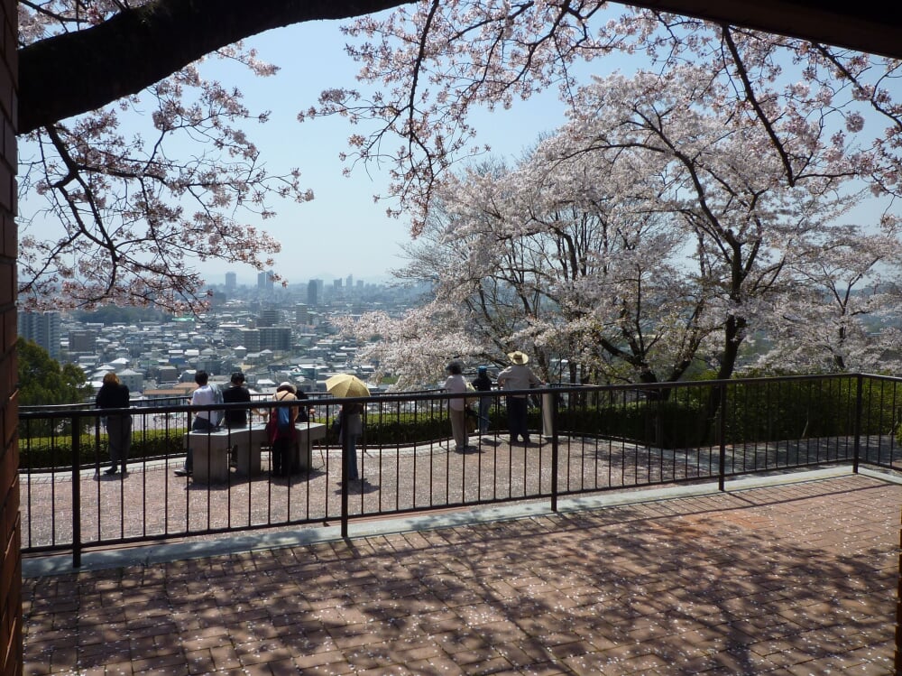 半田山植物園の写真 ©Fjkelfeimvvn(CC BY-SA 3.0)