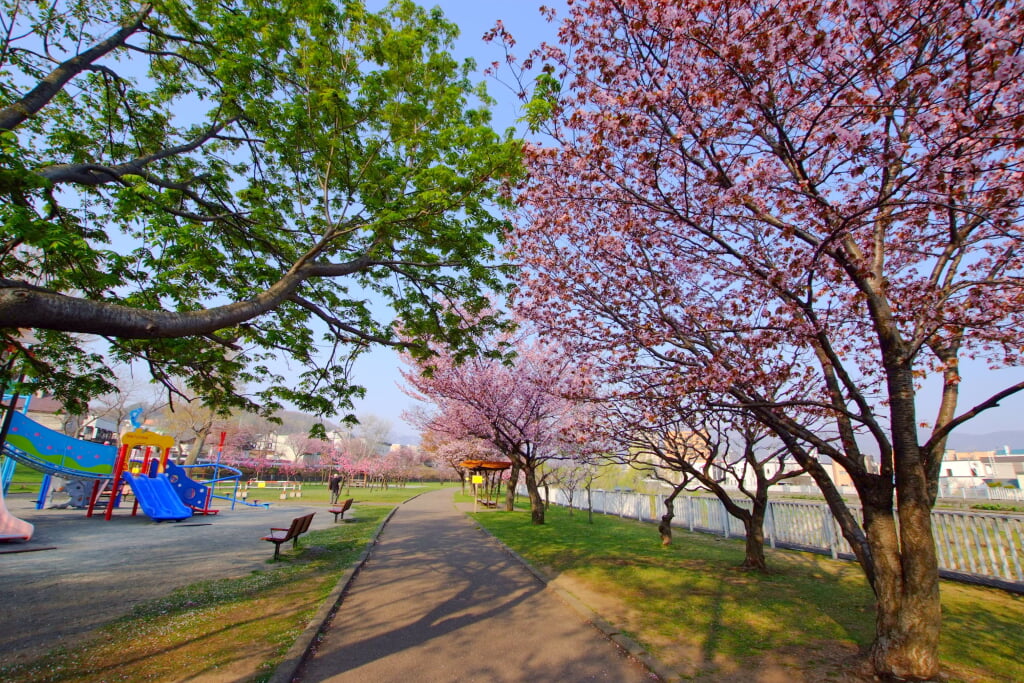 発寒公園の写真 ©t-konno(CC BY-SA 3.0)
