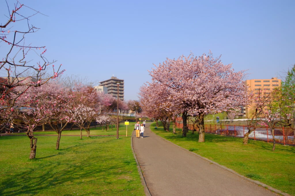 発寒公園の写真 ©t-konno(CC BY-SA 3.0)