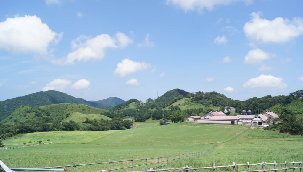 京都府畜産技術センター 碇高原牧場の写真 