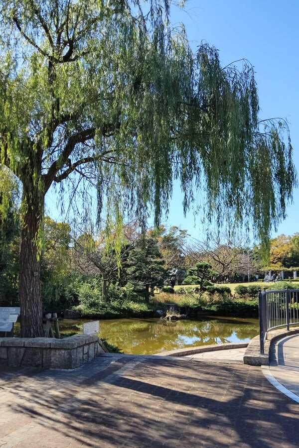 長久保公園都市緑化植物園の写真 
