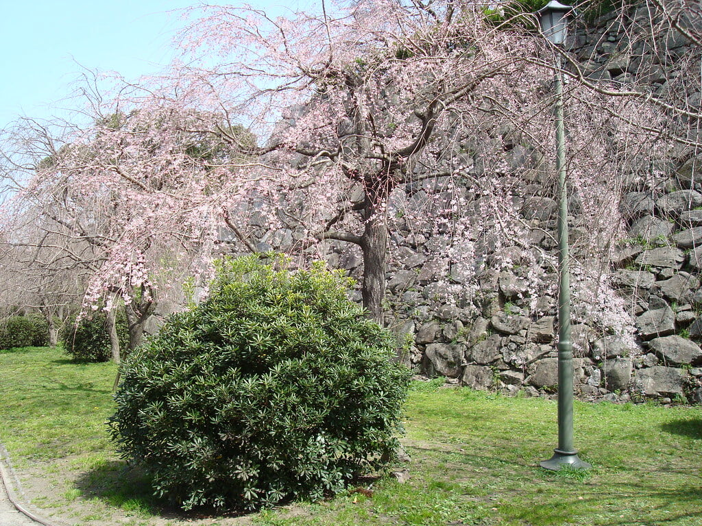 舞鶴公園の写真 ©alberth2(CC BY-SA 2.0)