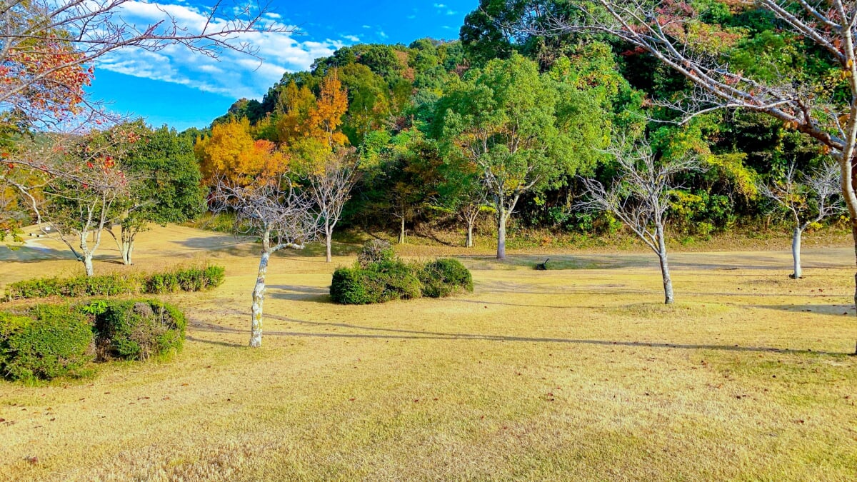 県営 筑豊緑地 の写真 