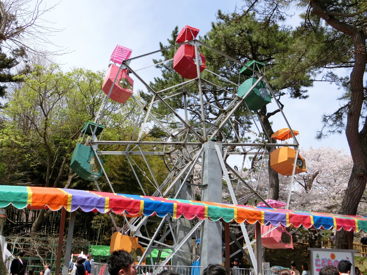 函館公園の写真 