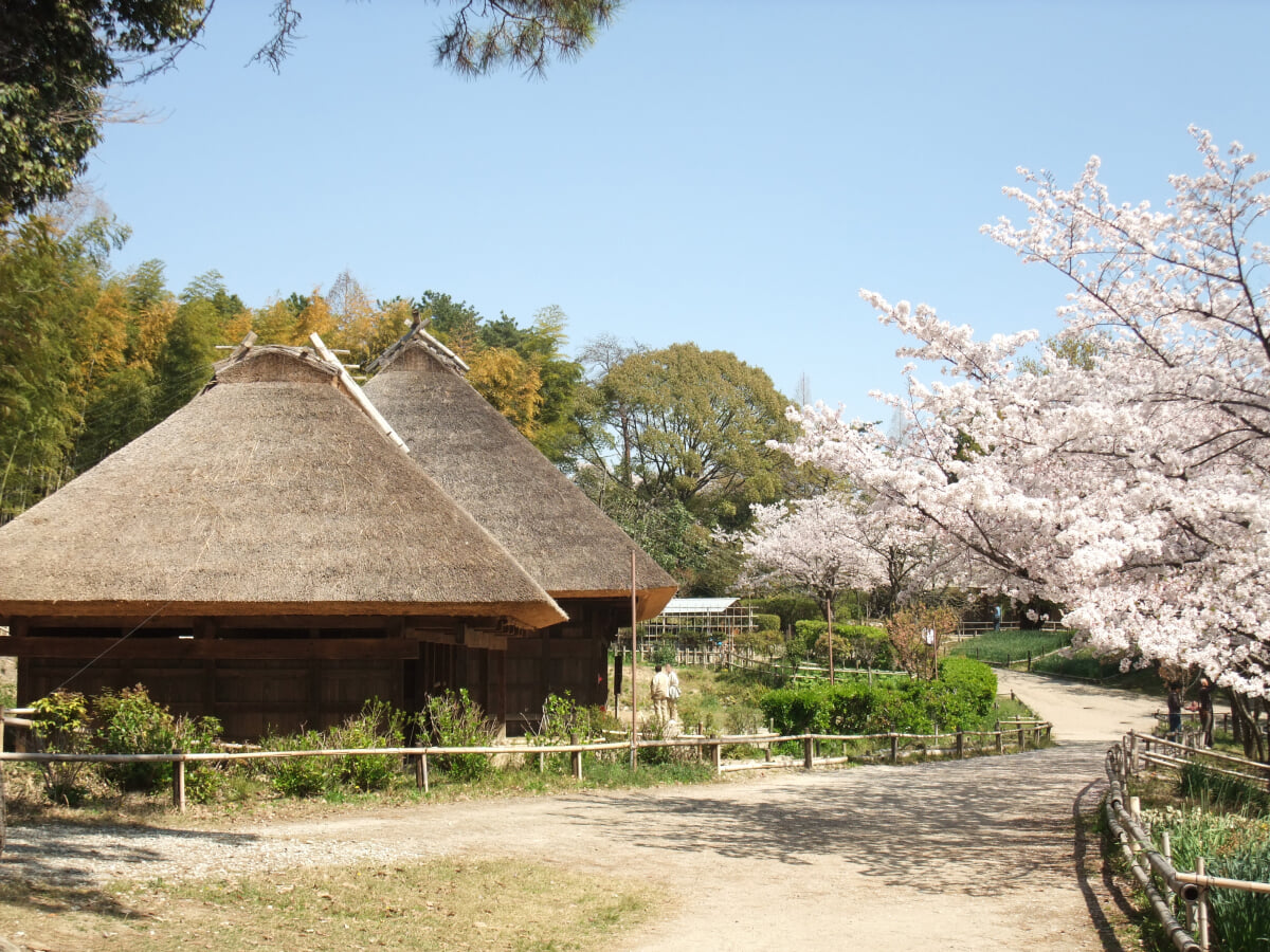 日本民家集落博物館の写真 ©hashi photo(CC BY 3.0)