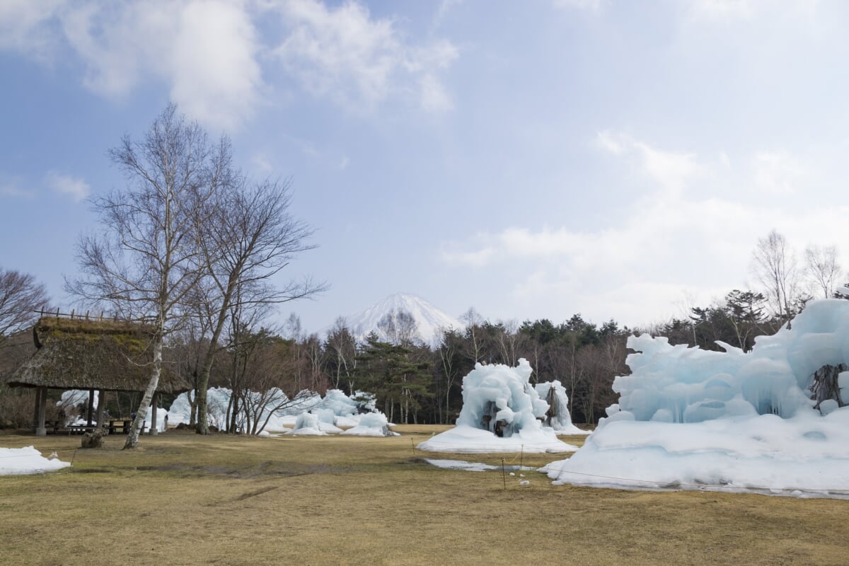 西湖野鳥の森公園の写真 