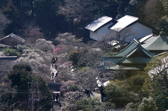 東慶寺の写真 ©Ktmchi(CC BY-SA 3.0)