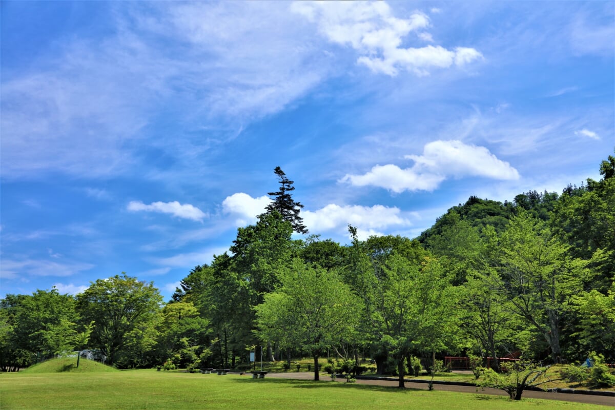 滝の上公園の写真 