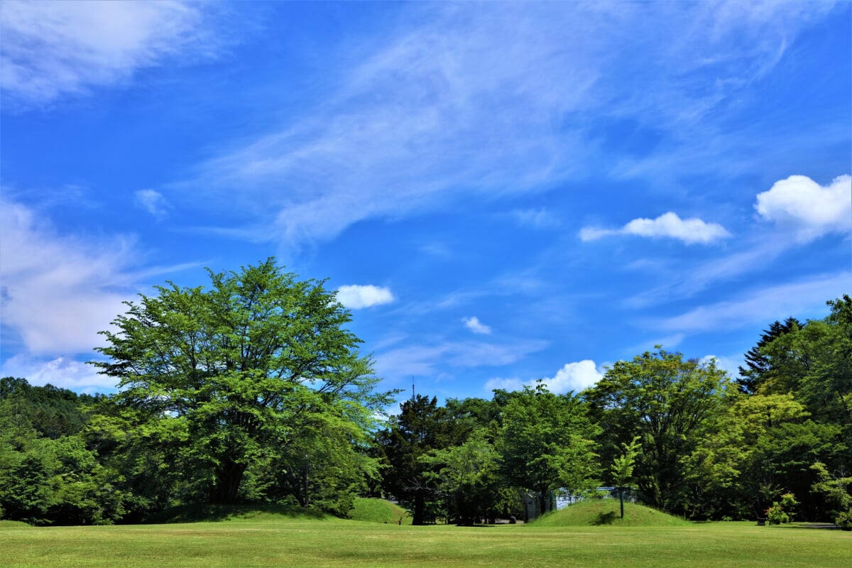 滝の上公園の写真 