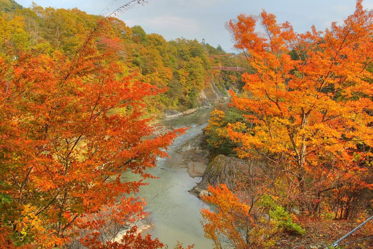 滝の上公園の写真 ©t-konno(CC BY-SA 3.0)