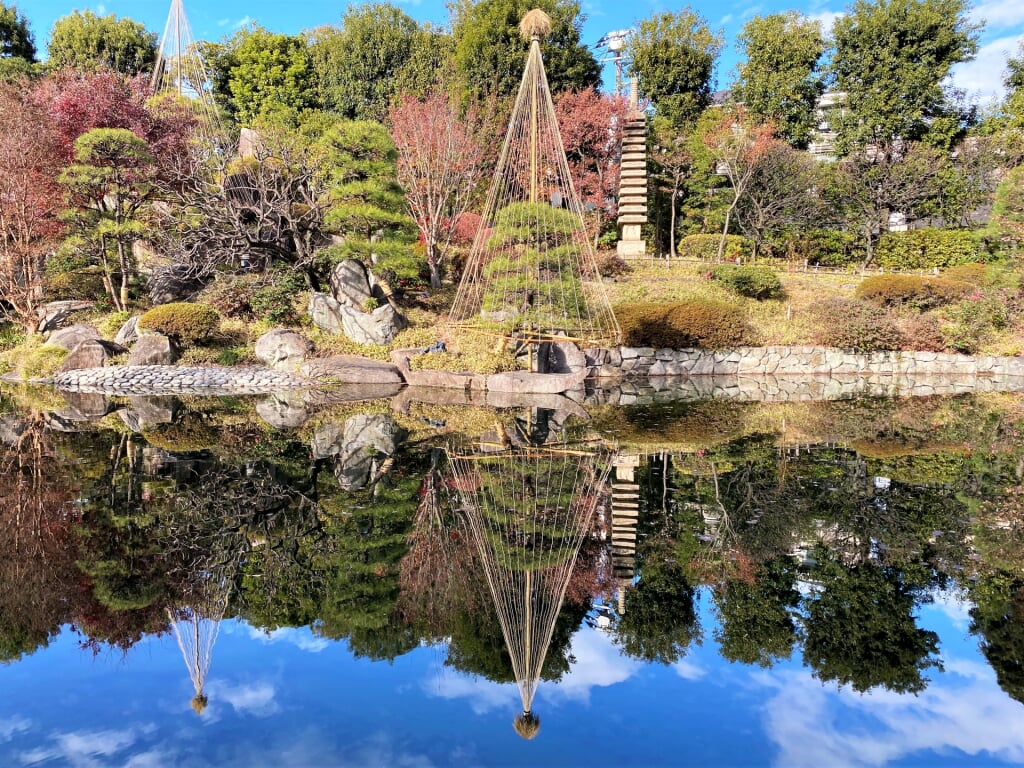 目白庭園の写真 