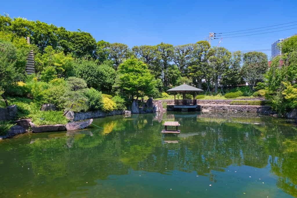目白庭園の写真 