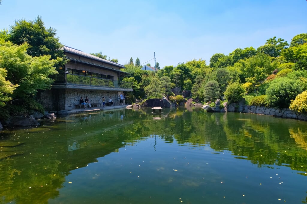 目白庭園の写真 
