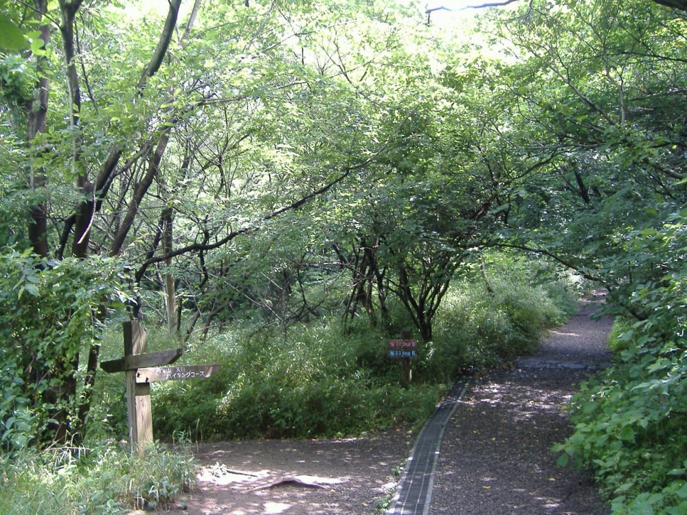 横浜自然観察の森の写真 ©妖精書士(Public domain)