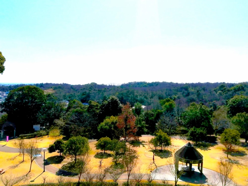 南部丘陵公園の写真 