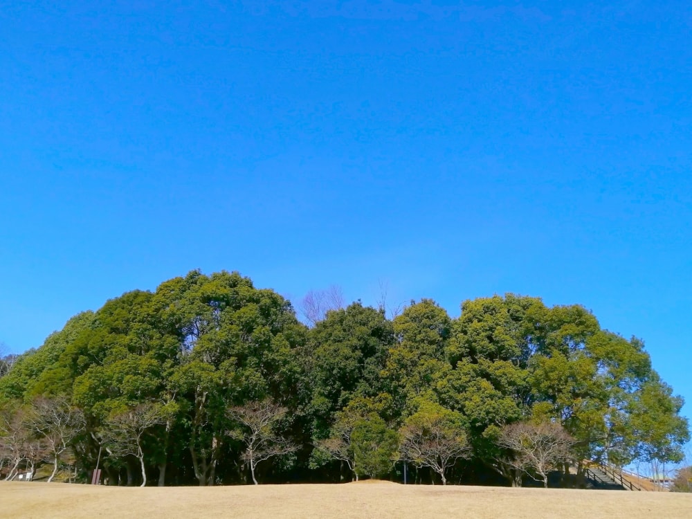 南部丘陵公園の写真 